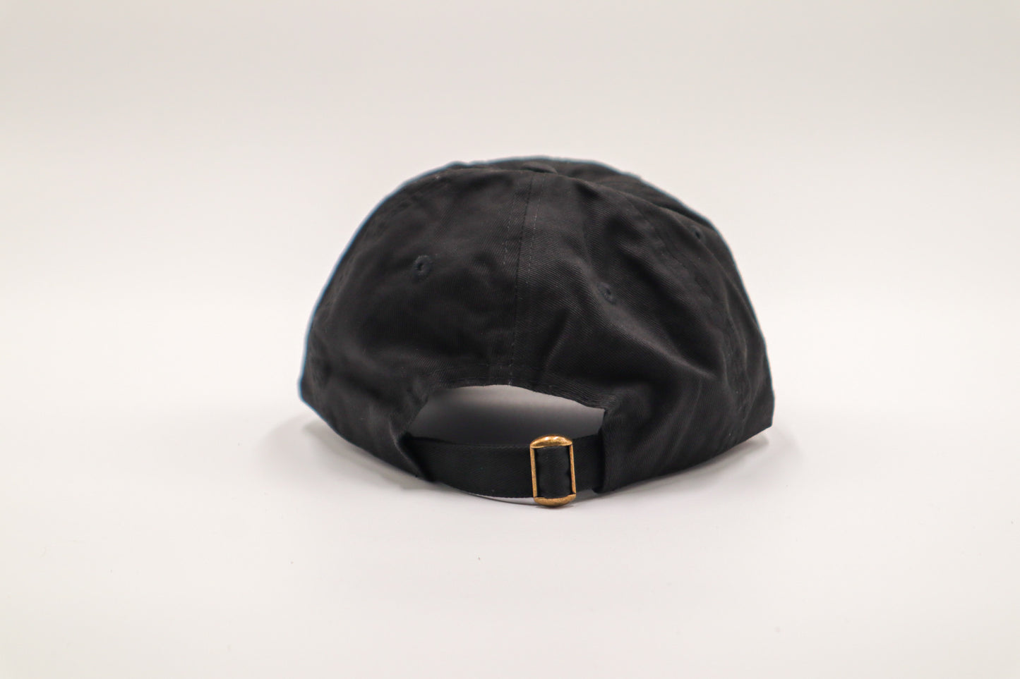 Embroidered Armature Works Hat